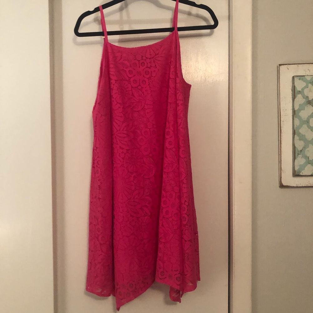 Pink Swing Dress Sz L Kaari Blue